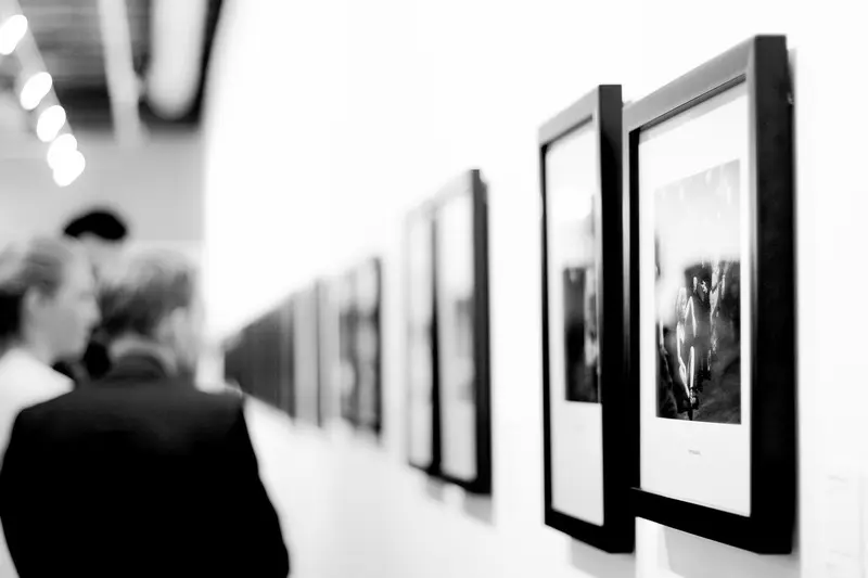 exposition & festival
